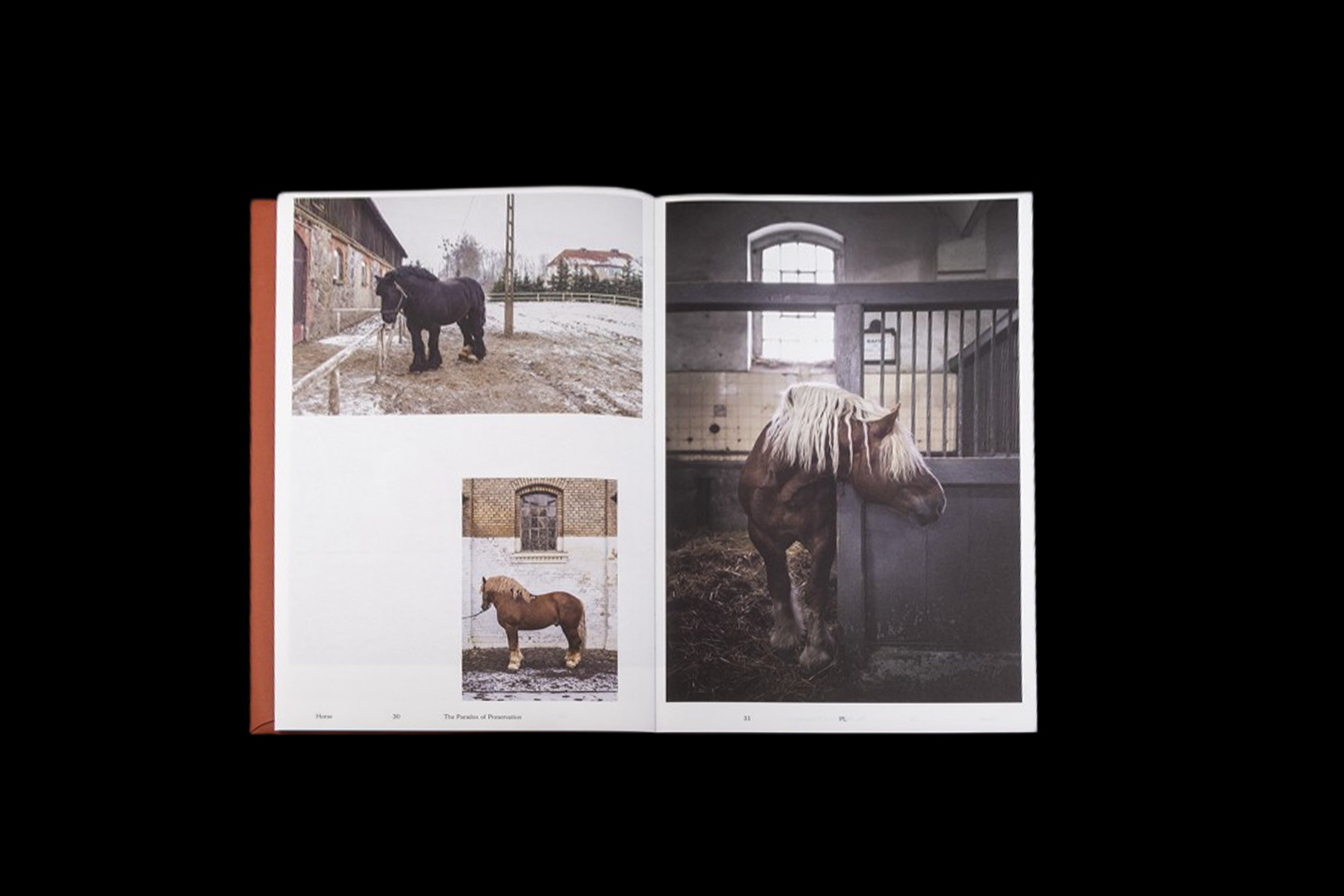 HORSE - Heleen Peeters (BE)