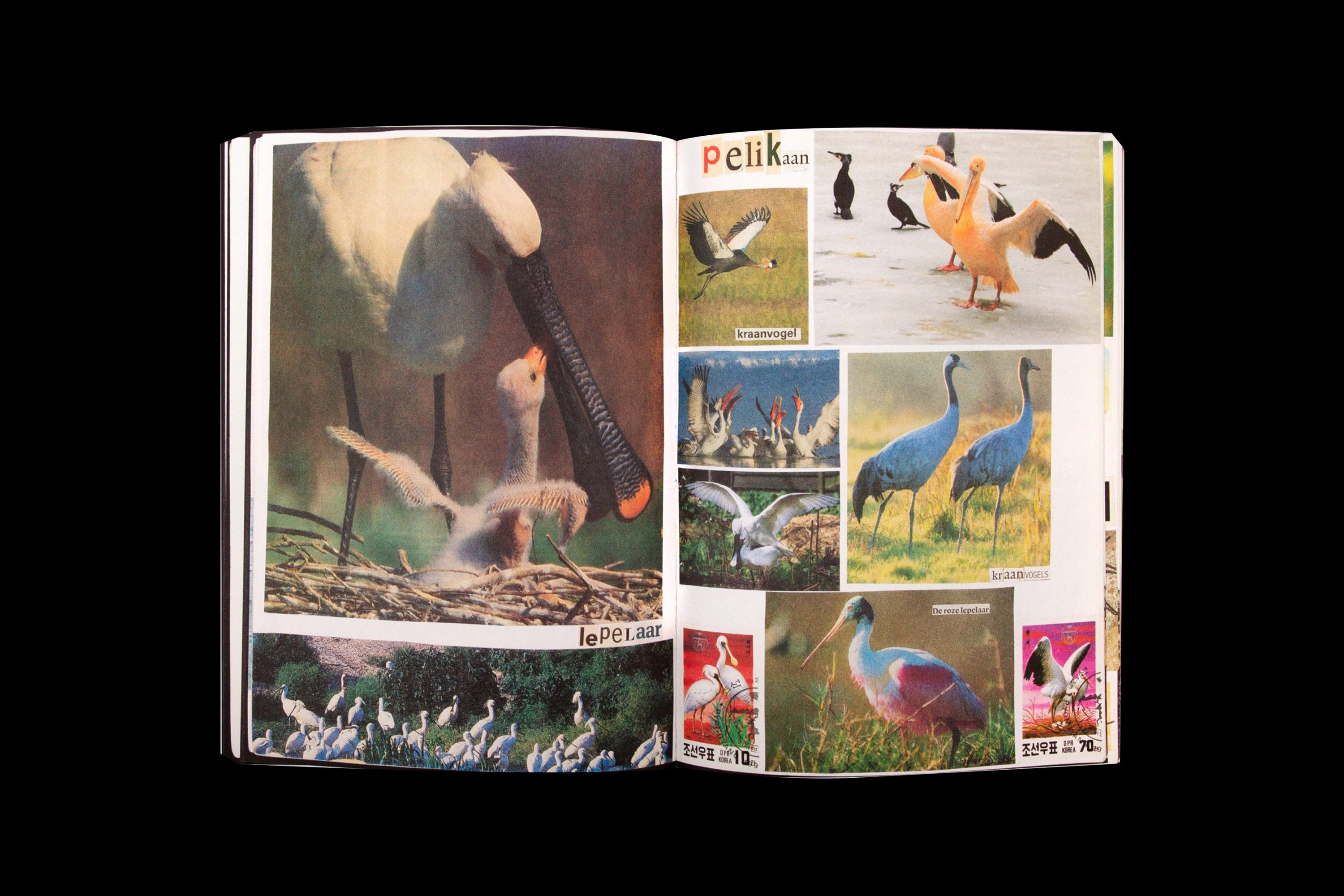 Animal Books for Jaap, Zeno, Anna, Julian & Luca by Lous Martens