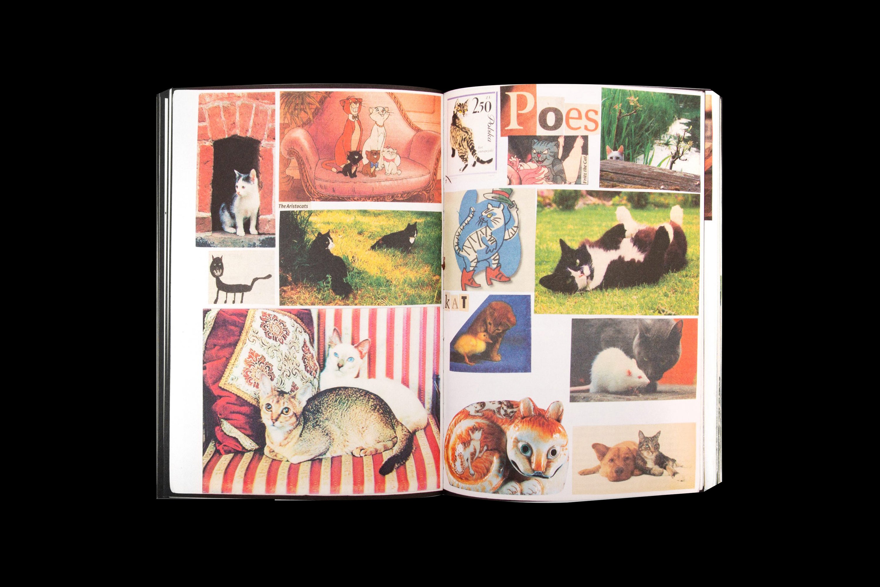 Animal Books for Jaap, Zeno, Anna, Julian & Luca by Lous Martens