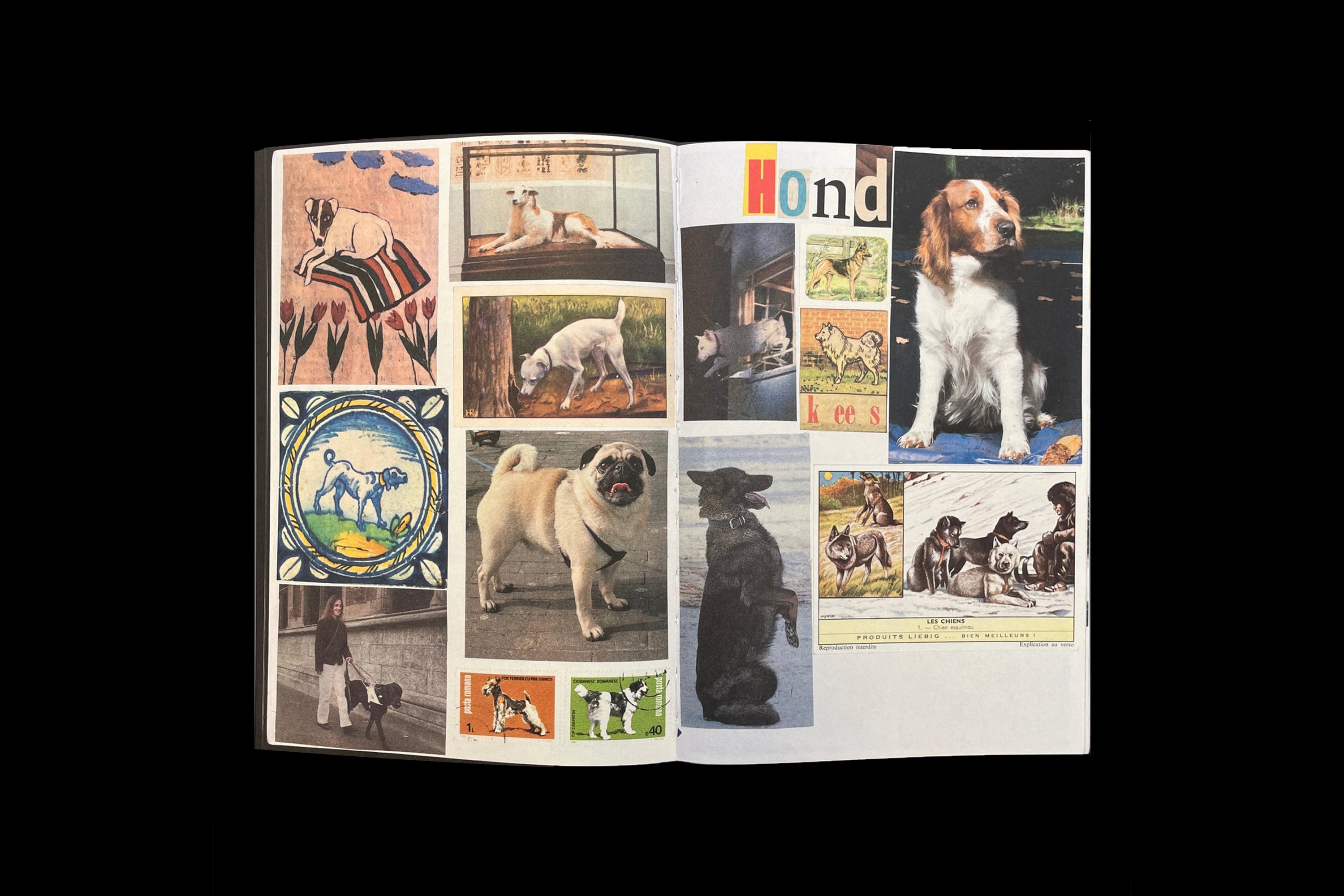 Animal Books for Jaap, Zeno, Anna, Julian & Luca by Lous Martens