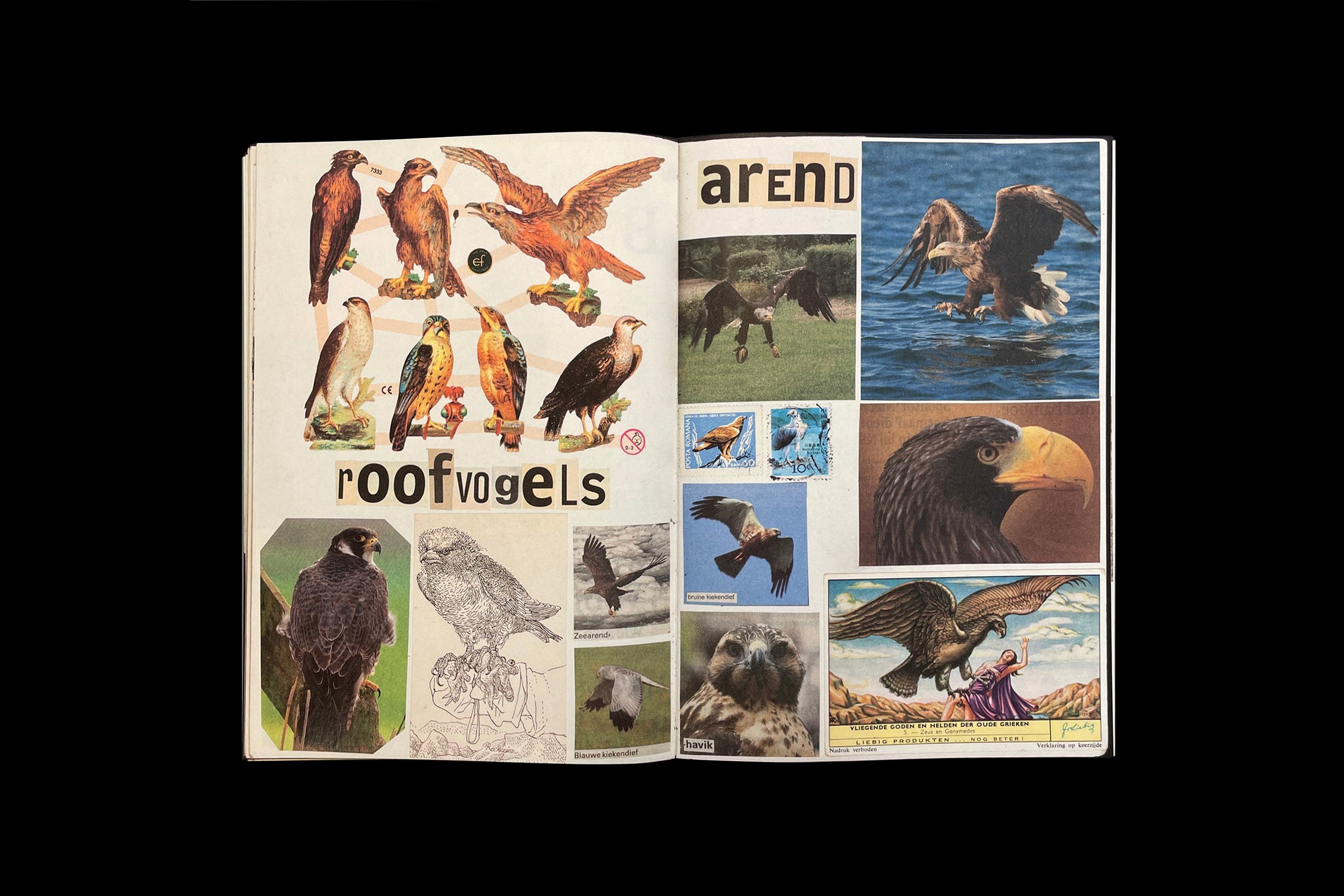 Animal Books for Jaap, Zeno, Anna, Julian & Luca by Lous Martens